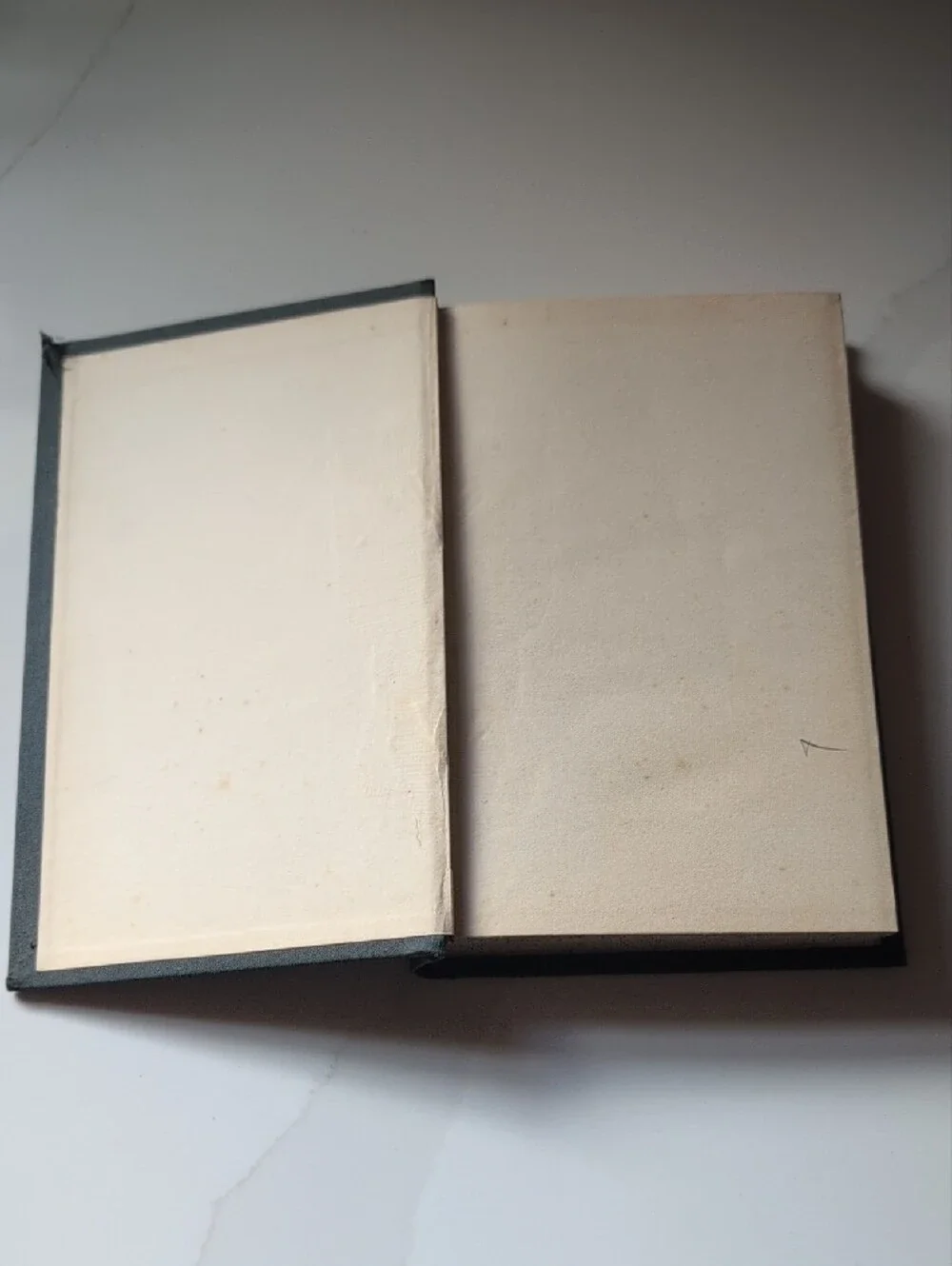 VTG Antique Victor Hugo Notre Dame Vol. I Hardcover Book PF Collier Illustrated